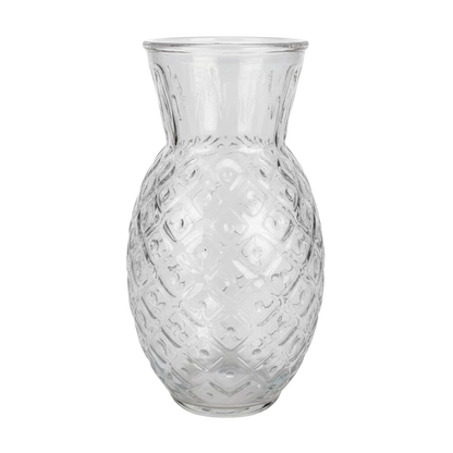 Clear Plastic Pineapple